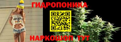 бошки Можга