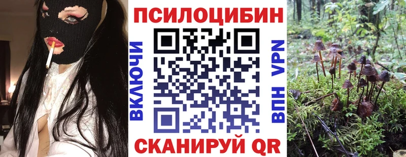 Галлюциногенные грибы мицелий  omg рабочий сайт  Сланцы 